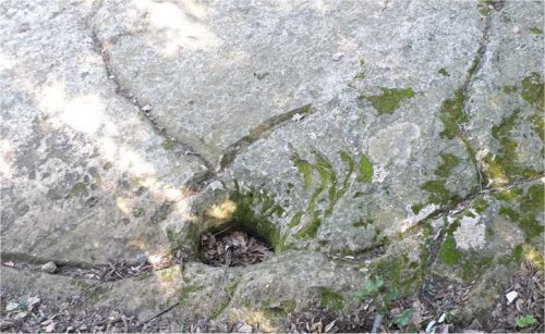 Le incisoni rupestri nel Monte Conero